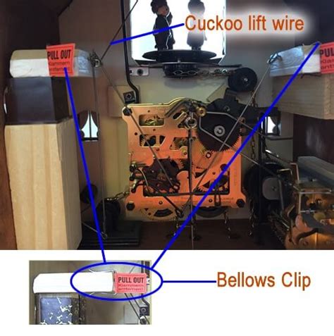 Cuckoo Clock Bellows