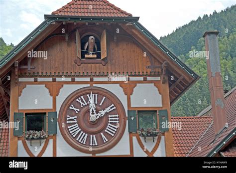 cuckoo clock black forest triberg