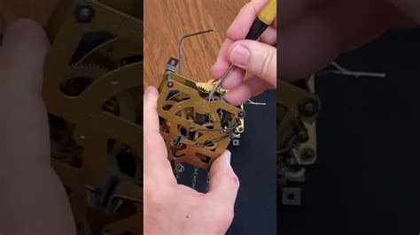 Cuckoo Clock Chain Jammed