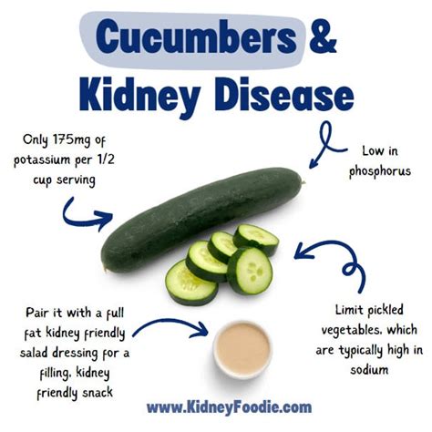 Cucumbers And Kidney