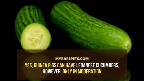 Cucumbers Cause Diarrhea