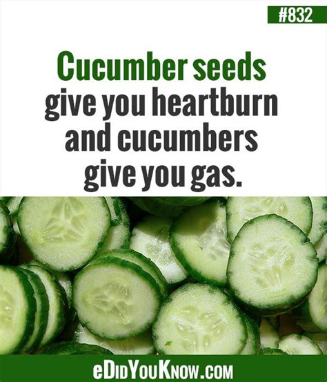 Cucumbers Causing Heartburn