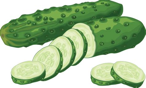 Cucumbers Clipart