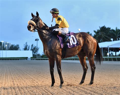 cugino's restaurant in florissant