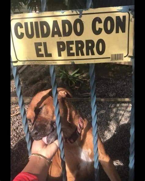CUIDADO CON EL PERRO