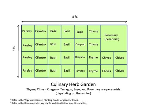 culinary herb garden layout