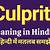 culprit meaning in hindi
