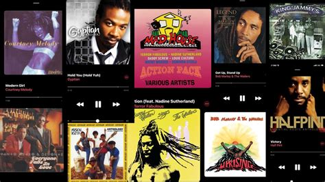 cultural appropriation reggae