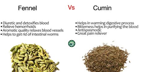 Cumin And Fennel