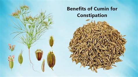 Cumin For Constipation In Babies