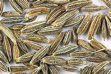 Cumin Meaning Wikipedia