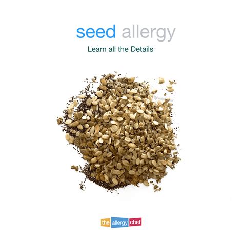 Cumin Seed Allergy