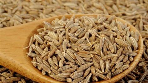 Cumin Seeds Hindi