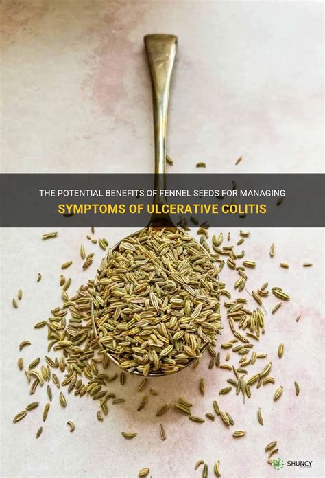 Cumin Seeds Ulcerative Colitis