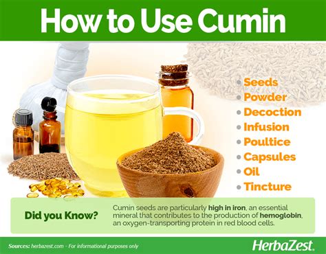 Cumin Tincture Benefits
