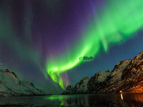 cunard cruise norway and northern lights