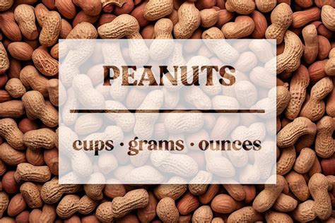 Cup In Grams Peanuts