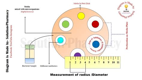 Cup Plate Method Antibiotic Assay