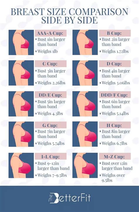 Cup Size Comparison Chart