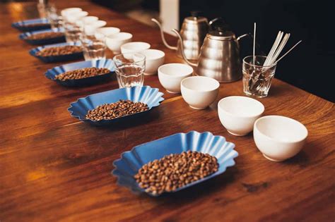 cupping coffee