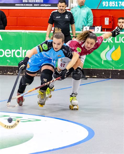 Daisy Blooms x Most Enchanting Scheme—This Bloom Will Make You Gasps!