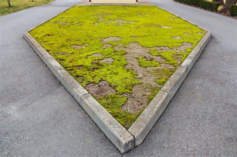 curb For Security plot of land And update