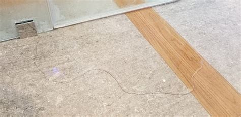 Curbless Shower Leaking