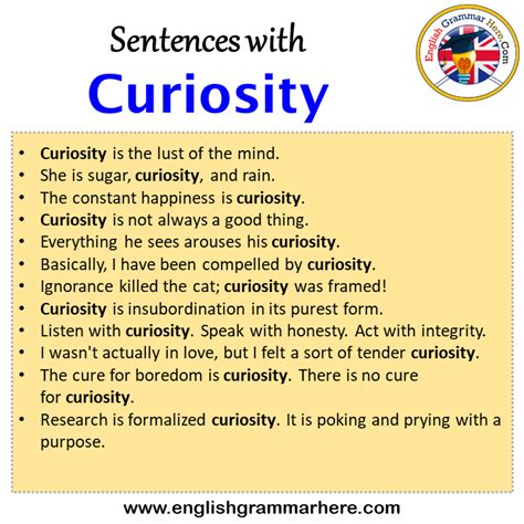 curiosity meaning in marathi with example