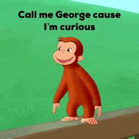 Curious George Meme