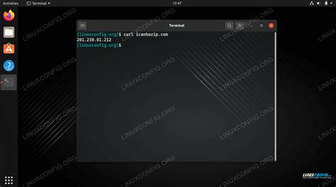 curl command to get external ip