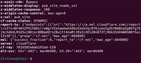 curl example with headers