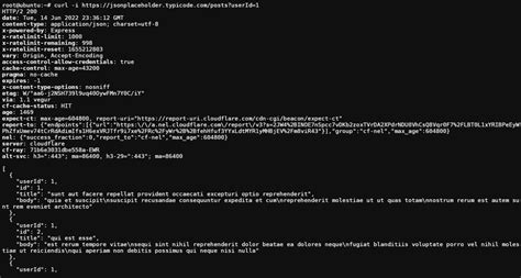 curl get api example