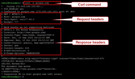 curl get example with headers