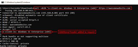 curl get request with multiple headers