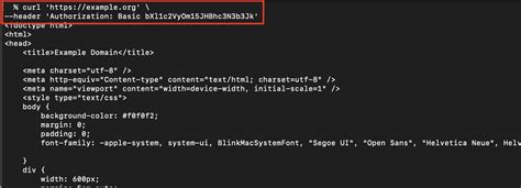 curl post basic authentication example