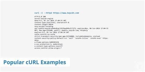 curl the requested method put is not allowed for this url
