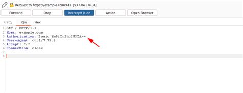 curl with username and password elasticsearch