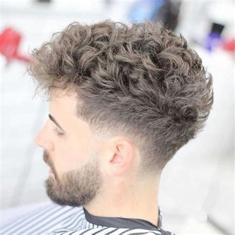 Curly Haired Taper