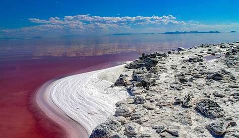 The Great Salt Lake has risen by a foot but how does that affect its
