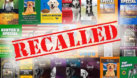 current dog food recall list