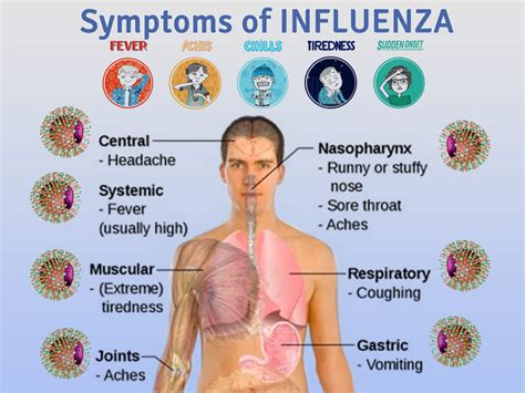 What Are the Current Flu Virus Symptoms This Season?