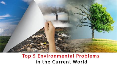 current issues in environmental science