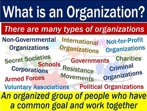current organization meaning in urdu and examples