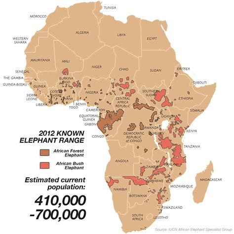 current population of african elephants