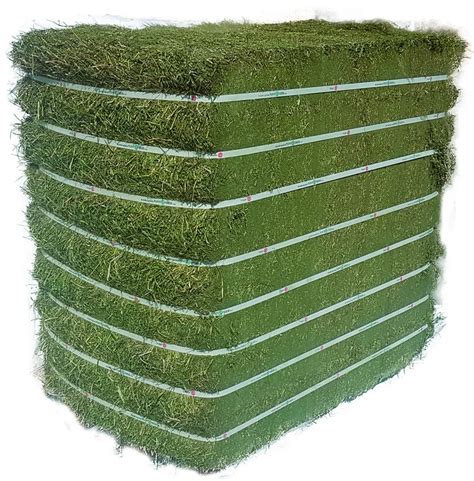 current price of alfalfa hay