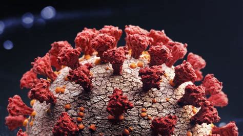 Understanding the Current Strain of COVID: What You Need to Know About Its Impact and Evolution