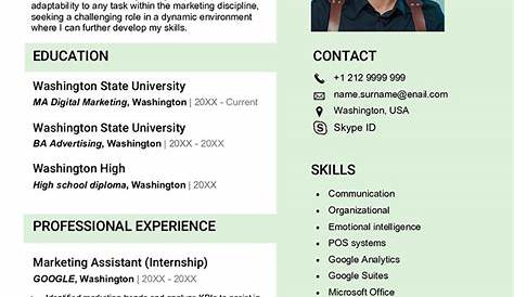 Sample Template For Curriculum Vitae - Template 2 : Resume Examples #