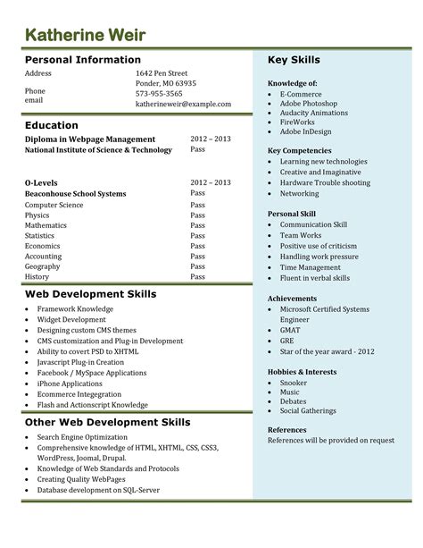 curriculum vitae sample format excel
