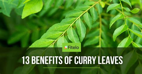 Curry Leaves