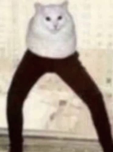 Cursed Cat